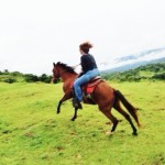 horseback riding, boquete, panama