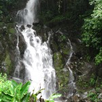 waterfall, boquete, panama, hiking, cloud forest