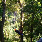 zip line, boquete tree trek, canopy