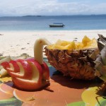 island trip, gulf of chriqui national park, golfo de chiriqui, snorkeling, whales, panama, sea kayaking