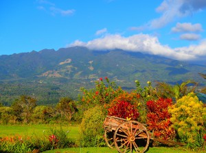 Volcan Baru, Boquete, Panama, 