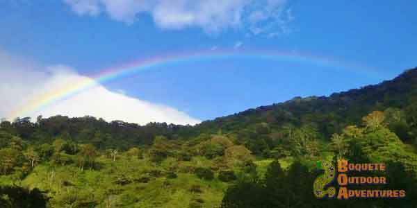 pipeline trail, quetzal, hiking, hike, cloud forest, Boquete, Quetzal Trail, Panama, birdwatching