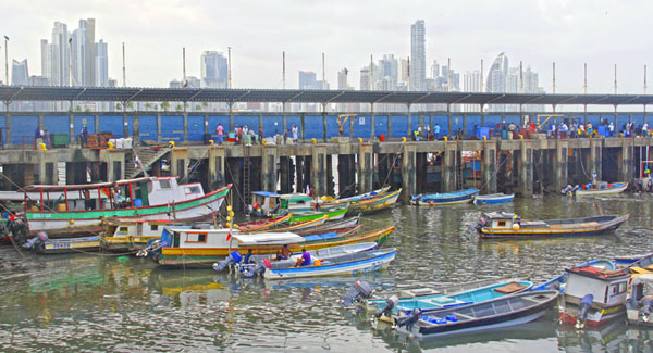Panama City Bay Fishermen Seafood