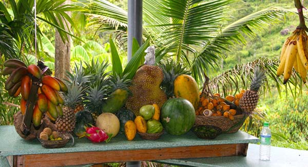 Panama fruit