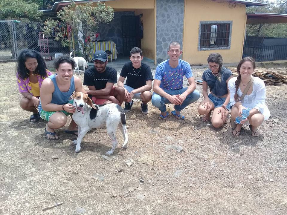 Dog Camp Volunteer Project